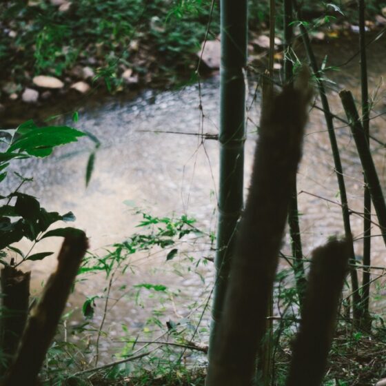 Wu Xing, os Cinco Elementos Chineses