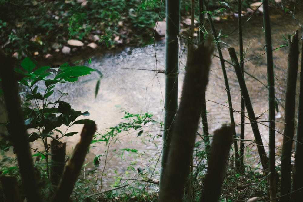 Wu Xing, os Cinco Elementos Chineses