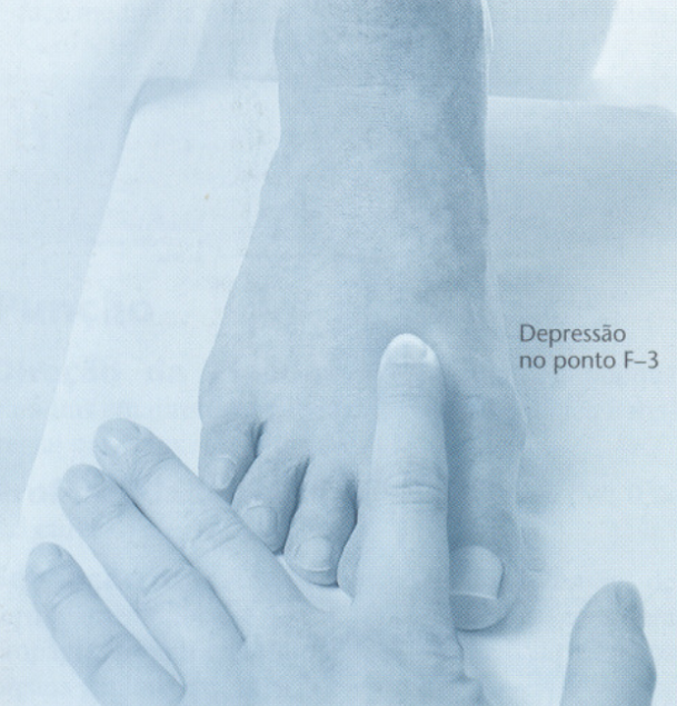 F3 Atlas de Acupuntura FOCKS 2