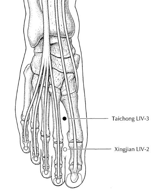 F3 Manual de Acupuntura DEADMAN