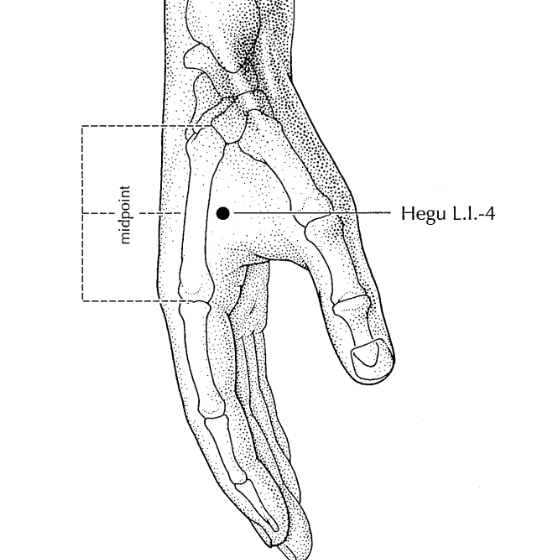 Ponto de acupuntura IG4 Hegu