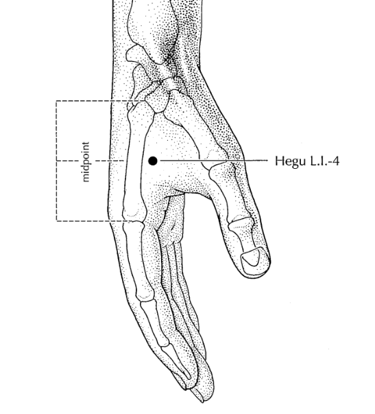 Ponto de acupuntura IG4 Hegu